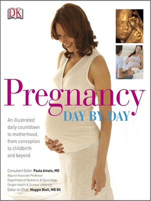 cover image of Pregnancy Day By Day